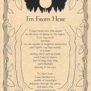 I’m From Here poster