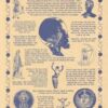 Moon Goddess poster