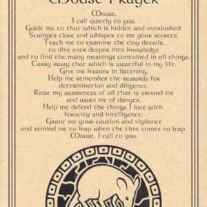 Mouse Prayer poster
