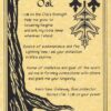 Oak poster Oak poster