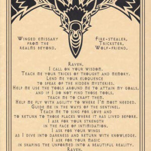 Raven Prayer poster