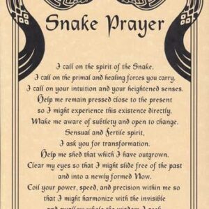 Snake Prayer poster