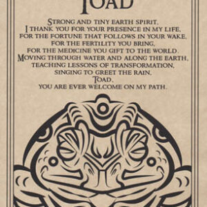 Toad Blessing poster