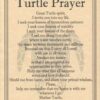 Turtle Prayer poster