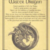Water Dragon poster Water Dragon poster