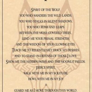 Wolf Prayer poster