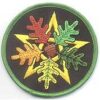 Oak Leaf Pentagram iron-on patch 3″ Oak Leaf Pentagram iron-on patch 3″