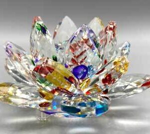 3 1/2″ Lotus  with Balli in Center