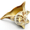 4-5″ Tiger Dakshinavarti Whelks 4-5″ Tiger Dakshinavarti Whelks