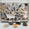 Flat of Agate Geode Flat of Agate Geode