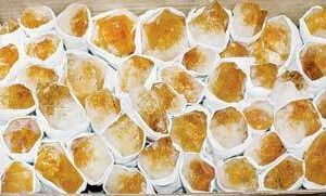 ~2kg Flat of Citrine Points