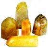 ~3# Flat of Golden Healer standing points ~3# Flat of Golden Healer standing points