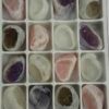 Flat of Mixed windowed (24/flat) Flat of Mixed windowed (24/flat)