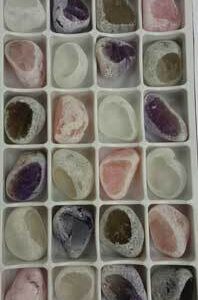 Flat of Mixed windowed (24/flat)