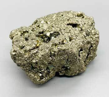 GFPYR11-2.jpg