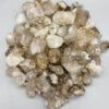 ~3# Flat of Quartz, Alligator ~3# Flat of Quartz, Alligator
