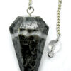 6-sided Black Coral pendulum 6-sided Black Coral pendulum