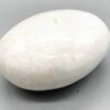 Scolosite palm stone Scolosite palm stone