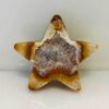 1-1.5# Star agate polished 1-1.5# Star agate polished