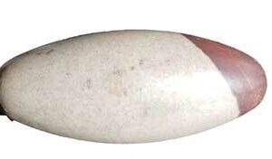 6″ Shiva Lingam stone from India