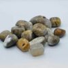 1 lb Agate, Dendritic tumbled 1 lb Agate, Dendritic tumbled