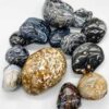 1 lb Agate, Enhydro tumbled