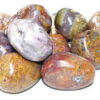 1 lb Moss Agate w/ Petrified Wood tumbled 1 lb Moss Agate w/ Petrified Wood tumbled