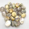 1 lb Opalized Petrified Wood tumbled stones 1 lb Opalized Petrified Wood tumbled stones
