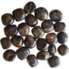 1 lb Stromatolite (onyx Brown) tumbled stones 1 lb Stromatolite (onyx Brown) tumbled stones