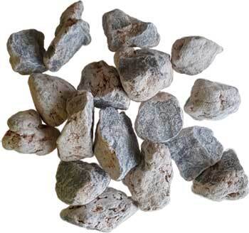 GUANGB.jpg