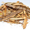Devil’s Club Root Bark cut 1oz Devil’s Club Root Bark cut 1oz