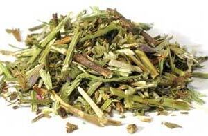 Hyssop cut 1oz  (Hyssopus officinalis)
