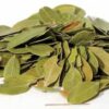 Bearberry (Uva-Ursi) 2oz Bearberry (Uva-Ursi) 2oz