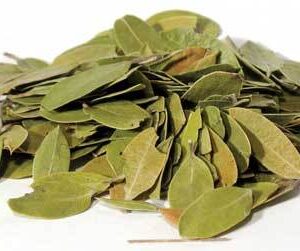 Bearberry (Uva-Ursi) 2oz
