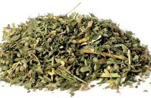 Catnip cut 2oz  (Nepeta cataria)