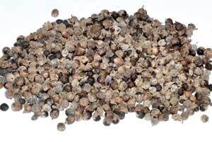 1 Lb Chaste berries whole