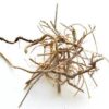 Devil’s Shoestring Root 2oz Devil’s Shoestring Root 2oz