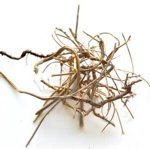 Devil’s Shoestring Root 2oz
