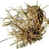 1 Lb Devil’s Shoestring root 1 Lb Devil’s Shoestring root