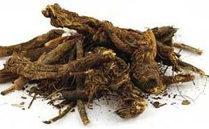 Golden Seal Root cut 1/2oz (Hydrastis canadensis)