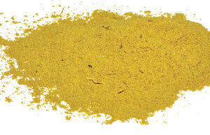 Golden Seal Root powder 1/2oz (Hydrastis canadensis)