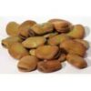 Mojo Wish Bean 2oz (Vicia faba) Mojo Wish Bean 2oz (Vicia faba)