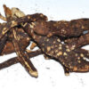 Osha Root whole 2oz Osha Root whole 2oz
