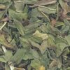 1 Lb Peppermint Leaf cut (Mentha piperita) 1 Lb Peppermint Leaf cut (Mentha piperita)