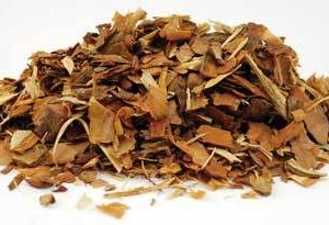 White Pine Bark cut 2oz (Pinus strobus)