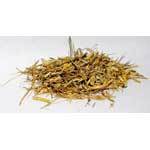 Witches Grass ( Panicum Capillare cut 2oz)