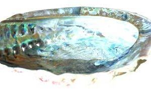 5″ Midea Shell incense burner