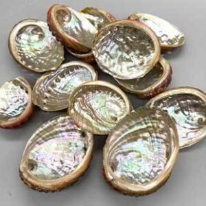 (pack of 100) 2″ – 3″ Abalone Shell incense burner