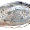 4″ Abalone Shell incense burner (limited quanity) 4″ Abalone Shell incense burner (limited quanity)