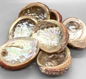 3-4″ Abalone Shell incense burner